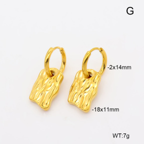 6E2007496bvpl-908  316 Pin 18K PVD  Stainless Steel Earrings