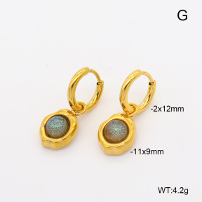 6E4004720abol-908  316 Pin 18K PVD Resin  Stainless Steel Earrings