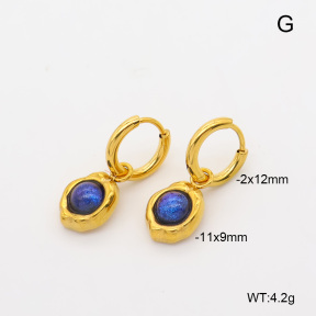 6E4004721abol-908  316 Pin 18K PVD Resin  Stainless Steel Earrings