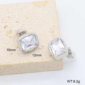 GEE003069bbov-066  316 Pin Zircon,Handmade Polished  Stainless Steel Earrings  BC26050345E-S-WT