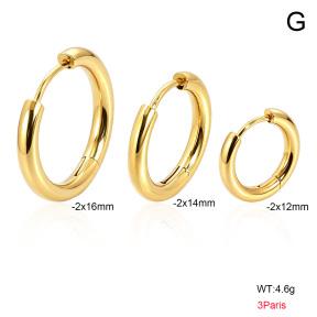 6E2007502bbpj-900  316 SS 14K PVD  Stainless Steel Earrings