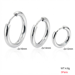 6E2007504vbmp-900  316 SS  Stainless Steel Earrings