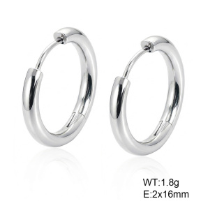 6E2007529vaia-G038  316 SS  Stainless Steel Earrings