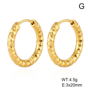 6E2007538aako-G038  316 Pin 14K PVD  Stainless Steel Earrings
