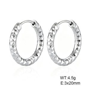 6E2007539vajj-G038  316 Pin  Stainless Steel Earrings