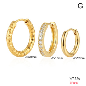 6E4004727vhln-900  316 SS 14K PVD Zircon,Handmade Polished  Stainless Steel Earrings