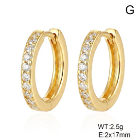 6E4004735vbnb-G038  316 SS 14K PVD Zircon,Handmade Polished  Stainless Steel Earrings
