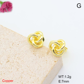 F6E200939baka-L017  Fashion Copper Earrings