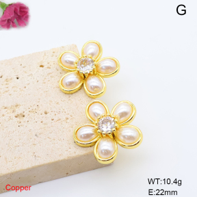 F6E302198vbnb-L017  Fashion Copper Earrings