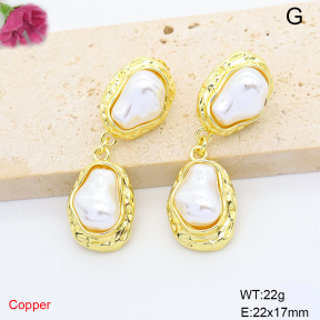 F6E302201bbov-L017  Fashion Copper Earrings