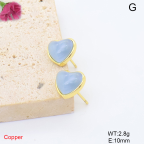 F6E405949baka-L017  Fashion Copper Earrings