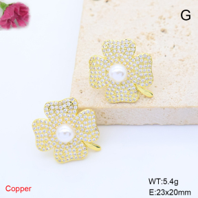 F6E405950bbov-L017  Fashion Copper Earrings