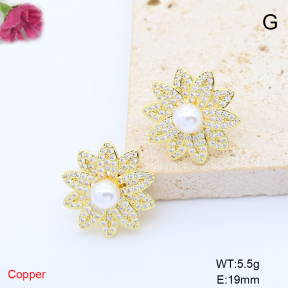 F6E405951bbov-L017  Fashion Copper Earrings