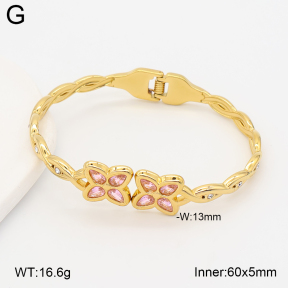2BA402981vhhl-434  Stainless Steel Bangle