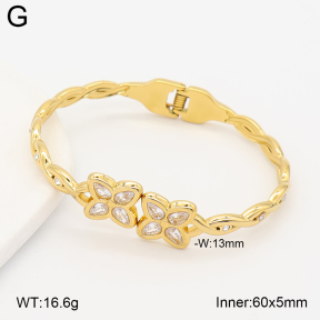 2BA402983vhhl-434  Stainless Steel Bangle