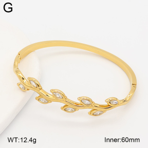 2BA402985vhhl-434  Stainless Steel Bangle