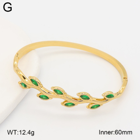 2BA402986vhhl-434  Stainless Steel Bangle