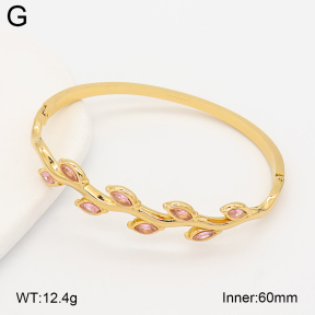 2BA402987vhhl-434  Stainless Steel Bangle