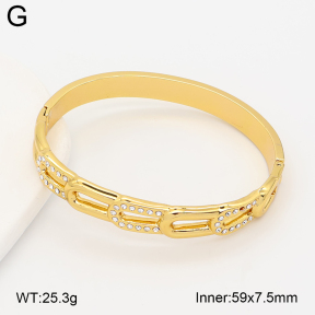2BA402988bhia-434  Stainless Steel Bangle