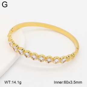 2BA402991vhhl-434  Stainless Steel Bangle