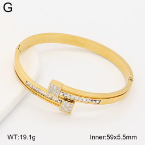 2BA402993vhhl-434  Stainless Steel Bangle