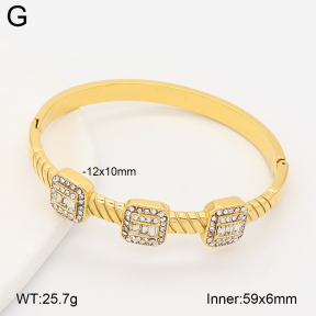 2BA402999bhil-434  Stainless Steel Bangle