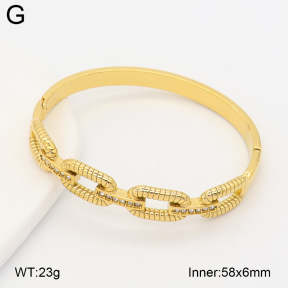 2BA403000bhia-434  Stainless Steel Bangle