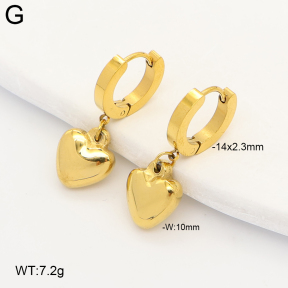 2E2007309vbnb-743  Stainless Steel Earrings