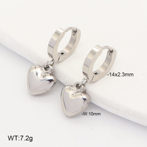 2E2007310vbmb-743  Stainless Steel Earrings