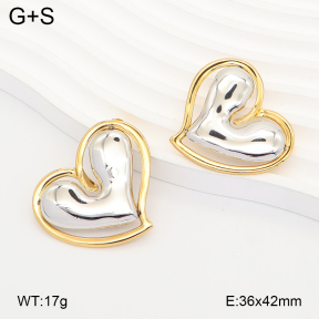 2E2007311vbmb-434  Stainless Steel Earrings