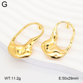 2E2007312aajl-434  Stainless Steel Earrings
