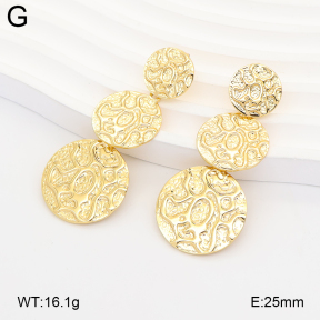 2E2007314bbml-434  Stainless Steel Earrings