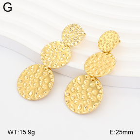 2E2007316bbml-434  Stainless Steel Earrings