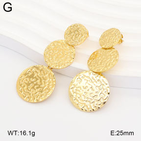 2E2007317bbml-434  Stainless Steel Earrings
