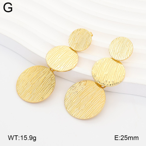 2E2007318bbml-434  Stainless Steel Earrings