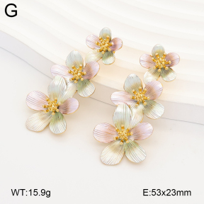 2E2007320bhia-434  Stainless Steel Earrings