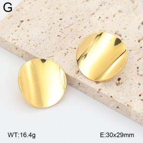 2E2007321aajl-434  Stainless Steel Earrings