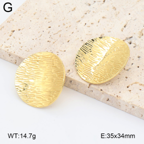 2E2007322aajl-434  Stainless Steel Earrings