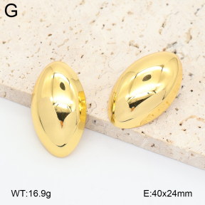 2E2007323aajl-434  Stainless Steel Earrings