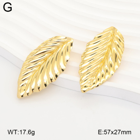 2E2007324aajl-434  Stainless Steel Earrings