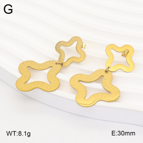 2E2007326aajo-698  Stainless Steel Earrings