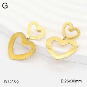 2E2007327aajo-698  Stainless Steel Earrings