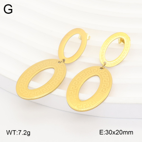 2E2007328aajo-698  Stainless Steel Earrings