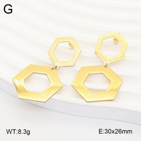 2E2007330aajo-698  Stainless Steel Earrings