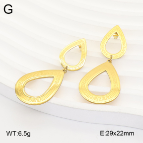 2E2007331aajo-698  Stainless Steel Earrings