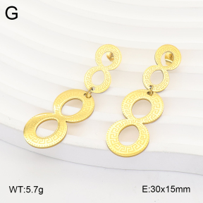 2E2007332aajo-698  Stainless Steel Earrings