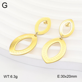 2E2007333aajo-698  Stainless Steel Earrings