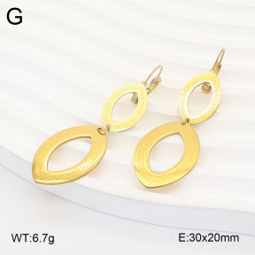 2E2007336aajo-698  Stainless Steel Earrings
