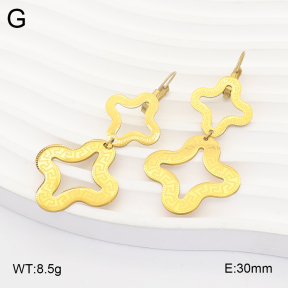 2E2007337aajo-698  Stainless Steel Earrings