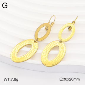 2E2007339aajo-698  Stainless Steel Earrings